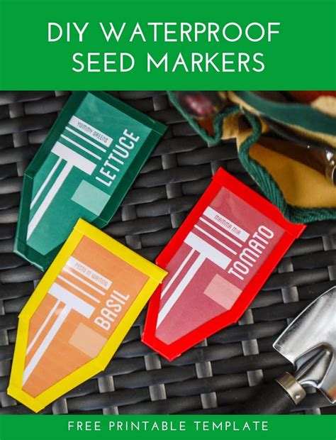 Diy Garden Seed Markers From Recycled Plastic Salad Containers Plant