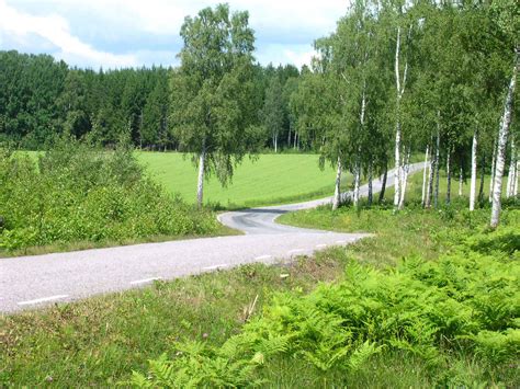 Landscape Summer Road In Sweden Halla A Photo On Flickriver