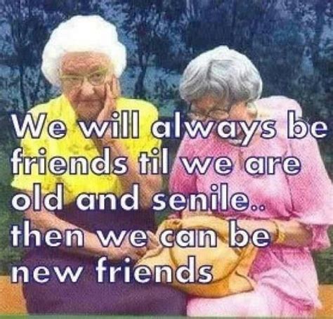 This is the only reason i keep you. Funny Best Friend Quotes & Sayings | Funny Best Friend ...