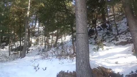 All about the murree, info, latest news, breaking news, snowfall update, weather report, traffic update, pictures, and more. murree snowfall - YouTube
