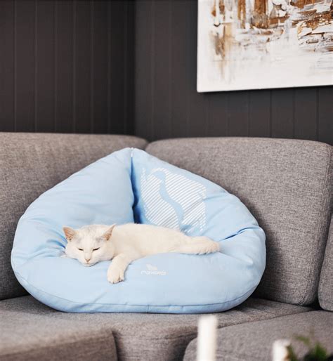 Emi Blue Cat Bed Blue Shop Emi Cat Bed Tytuł Sklepu Zmienisz W