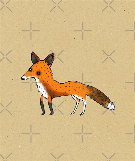 Fox By Sophie Corrigan Redbubble