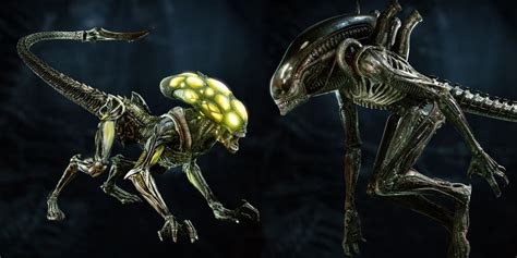 Aliens Fireteam Xenomorphic Enemy Types And Skins Shown By Developer