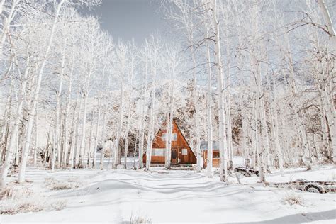 Pale Winter Nature Cottage White Snow Pastel Forest Landscape