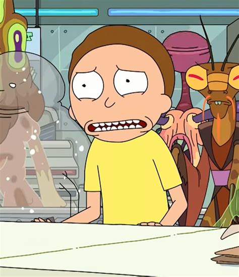 Rick And Morty Vat Of Acid Episode Futurama Reference Explained