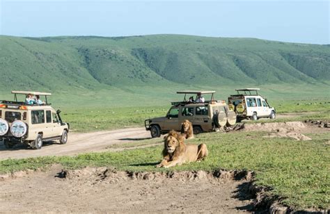 Safari Lac Manyara Ou Tarangire Serengeti Et Cratere De Ngorongoro