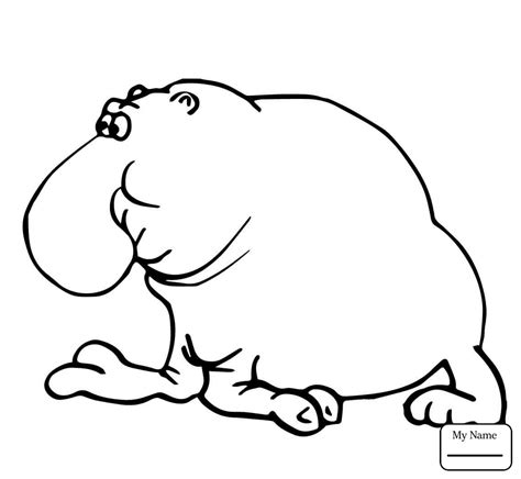 Baby seal is confuse coloring page to color, print and download for free along with bunch of favorite seal coloring page for kids. Baby Seal Drawing at GetDrawings | Free download