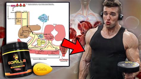 How To Get Your Bicep Vein To Show Actual Practical Tips For Vascular