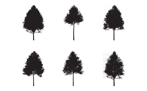Aspen Tree Silhouette Set Vector Collection Free 2429568 Vector Art At
