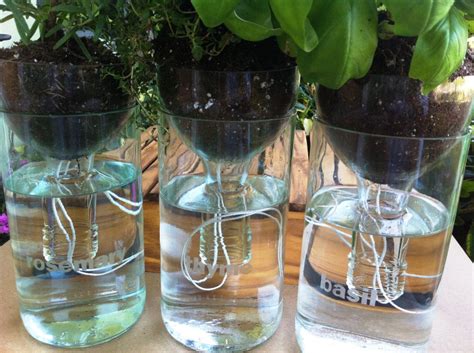 Wine Bottle Planters Self Watering Set Of Three 3 By