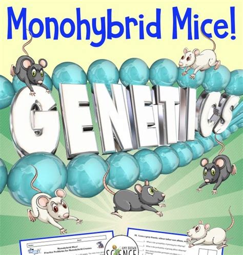 We did not find results for: Punnett Square Practice: Monohybrid Mice Ansers / Monohybrid Genetics Problems Answer Key ...