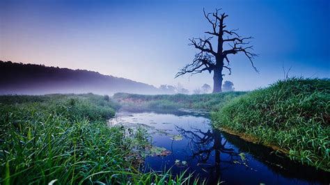 Landscapes Trees Rivers 1600x900 Nature Rivers Hd Art Trees