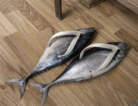 Fish Shoes And Goldfish Heels 10 Most Amusing Aquarium Shoes