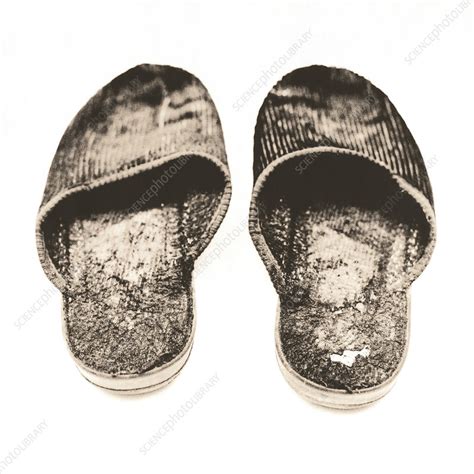 Worn Slippers Stock Image H1000819 Science Photo Library