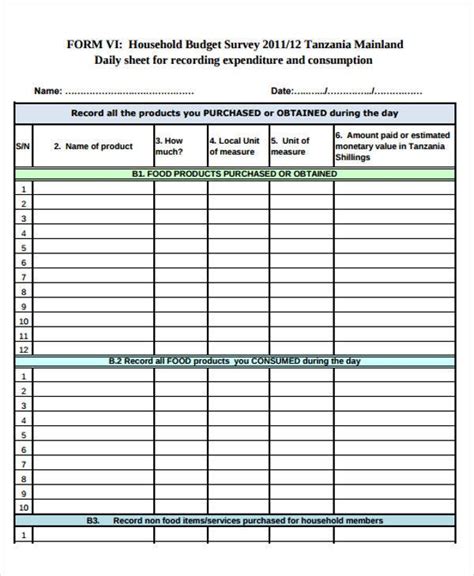 8 Daily Budget Templates Free Sample Example Format