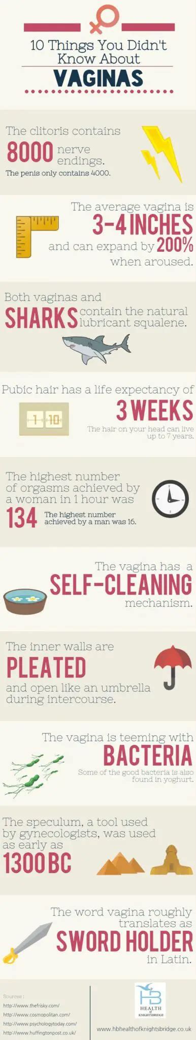 Things You Didnt Know About Vaginas Infographic Visualistan My XXX