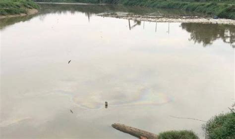 Pembuangan sampah sarap dan sisa kumbahan. Pemancing punca pencemaran Sungai Selangor? | Kes | Berita ...