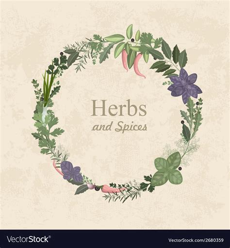 Vintage Label Herbs And Spices For Your Design Vector Image