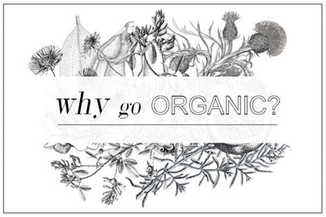 Get The Guide Why Go Organic In Food Fashion And Beauty During