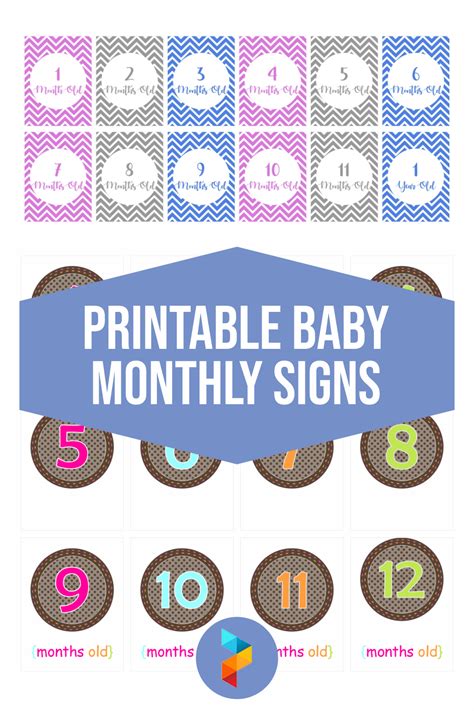 10 Best Free Printable Baby Monthly Signs Pdf For Free At Printablee