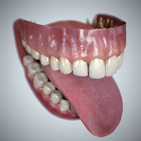 Artstation Teeth And Tongue Set Resources