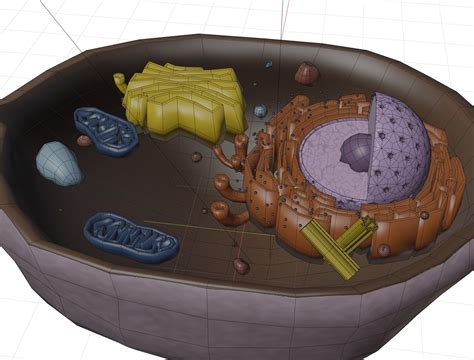 3d Model Animal Cell Vr Ar Low Poly Cgtrader