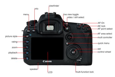 Canon 7d Mark Ii Digital Camera Review Cameras