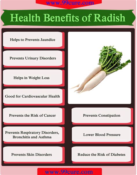 Research works on the benefits of daikon radish. Latest News, Data & Advice around Supplements : GETATOZ ...