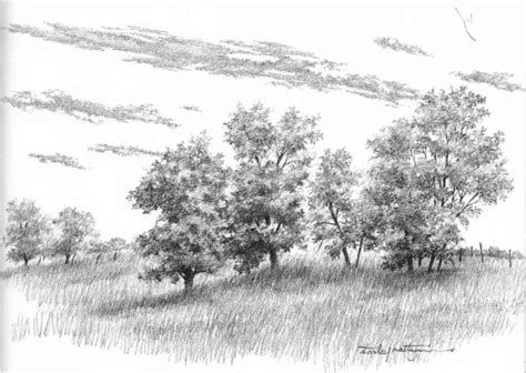 Mass Of Trees Without Foliage Drawing Nature Joshua Nava Arts