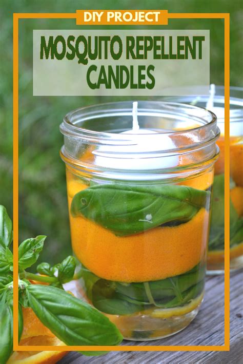 Diy All Natural Mosquito Repellent Candles Fluster Buster