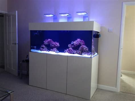 Reef Fish Tank Build And Install In Leeds Ocean Life Aquatics