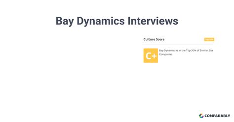 Bay Dynamics Interviews Comparably