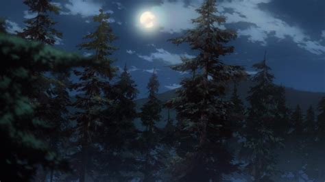 Wallpaper Sunlight Forest Night Sky Branch Moonlight Atmosphere
