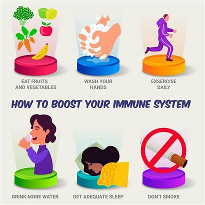 Immune System Boost Infographic Een Immuunsysteem Geef