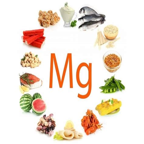 Todo Lo Que Necesita Saber Sobre El Magnesio