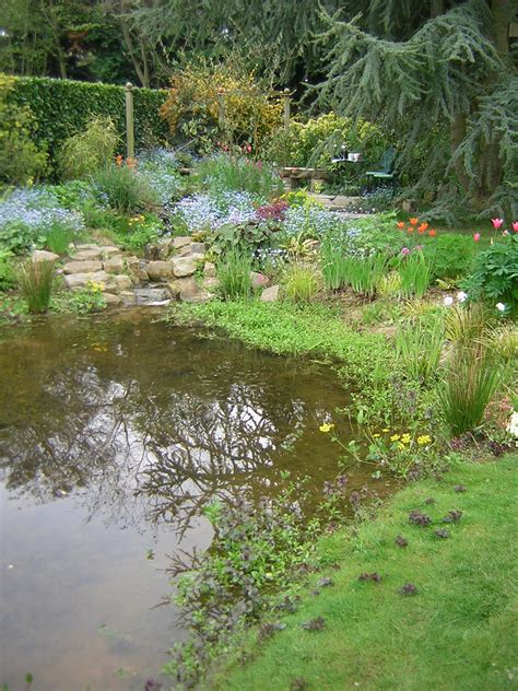 Wildlife Ponds Construction Norfolk Suffolk And Cambridgeshire