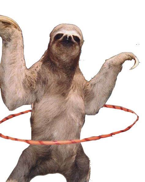 Sloth Png Hd Png All