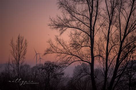 Misty Sunset Nettypic Photography