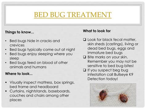 Ppt Kill Bed Bugs Powerpoint Presentation Id7530478