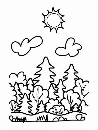 Forest Coloring Pages Simple Colouring Printable Nature
