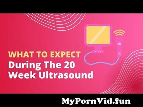 What To Expect During The 20 Week Anatomy Pregnancy Ultrasound From