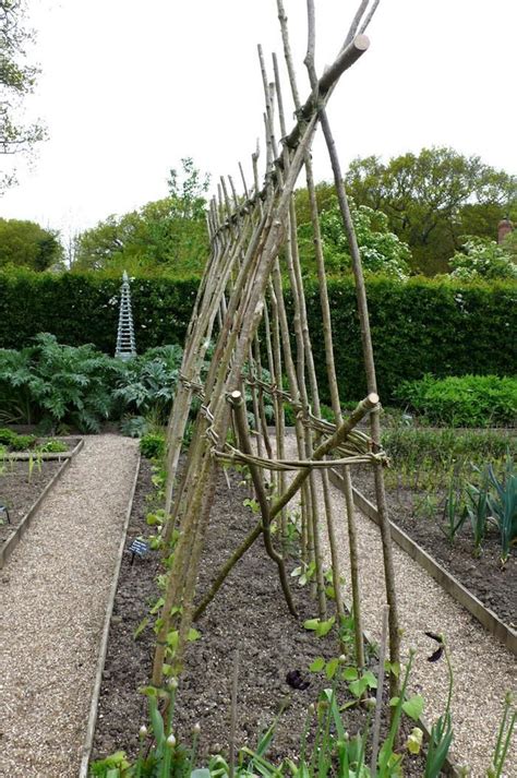 They produce a vine, and need something to. Design Sleuth: Willow Accessories for the Cottage Garden ...