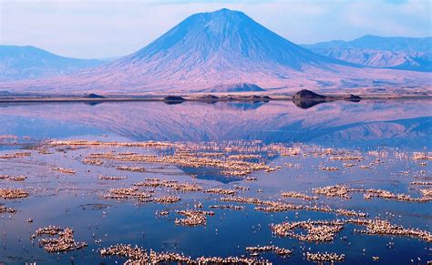 The Lake Natron Tanzania Charismatic Planet