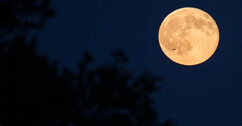 Get ready for the flower moon on wednesday, when may's full moon becomes visible as the only lunar eclipse of 2021, with this the year's biggest the eclipse is expected to last for 14 minutes and 30 seconds for some viewers on wednesday, may 26. You need to see this spooky Blue Moon on Halloween