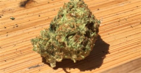 Photos Of Willie Nelson Weed Strain Buds Leafly
