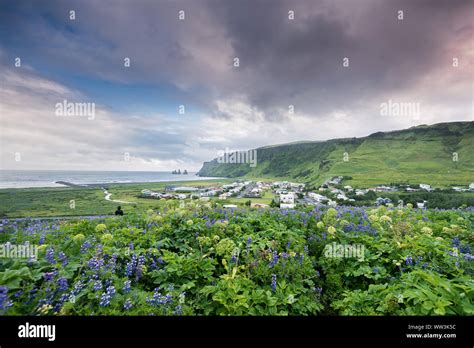 Beautiful Vik Village In South Iceland Stock Photo Alamy