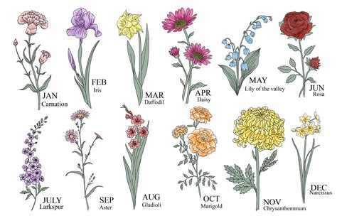 Birth Tree Birth Flowers Birth Month Flower Names