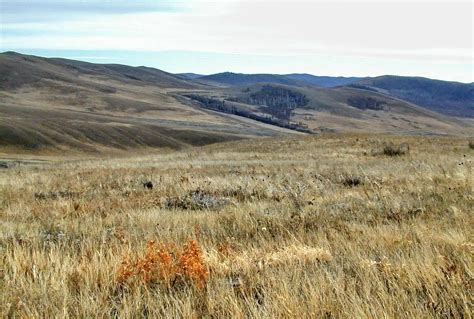 Geography Blog Steppe Biome Nord