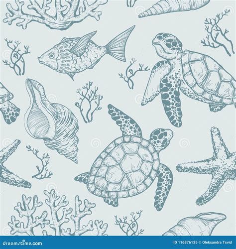 Seamless Pattern With Sketch Of Sea Shells Fish Corals And Turtle