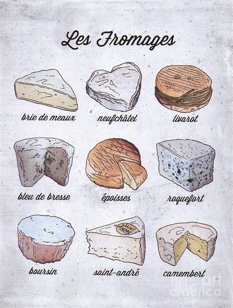 The Cheeses Of France Vintage French Cheese Guide Painting By Tina